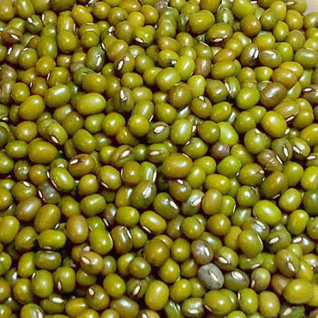 /Upload/Date_17_Jul_2026_04_37_39_MOONG DAAL WHOLE.jpg
